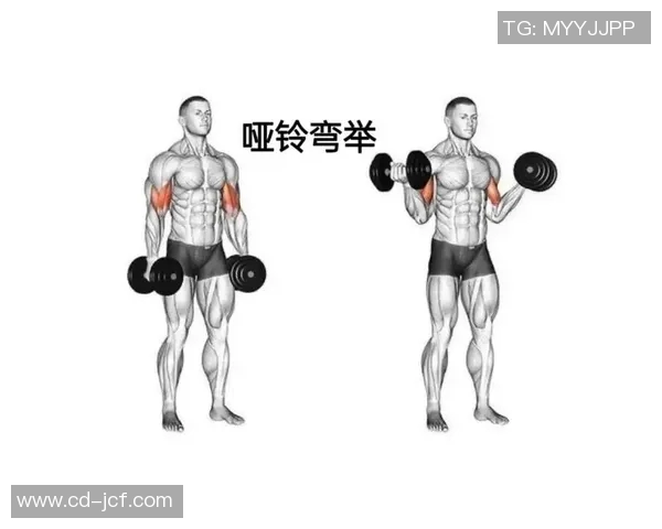 全面解析哑铃锻炼方法图解助你塑造完美身材的最佳指南